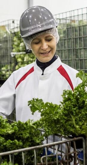 Tøj til enhver industri
