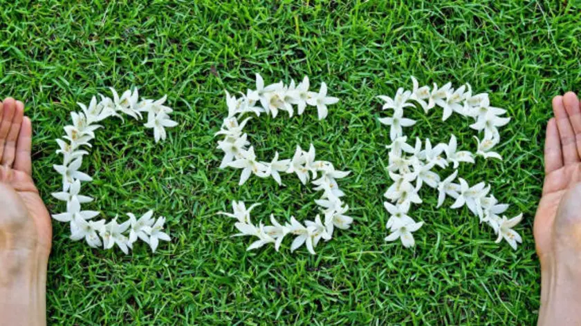 Blomster csr