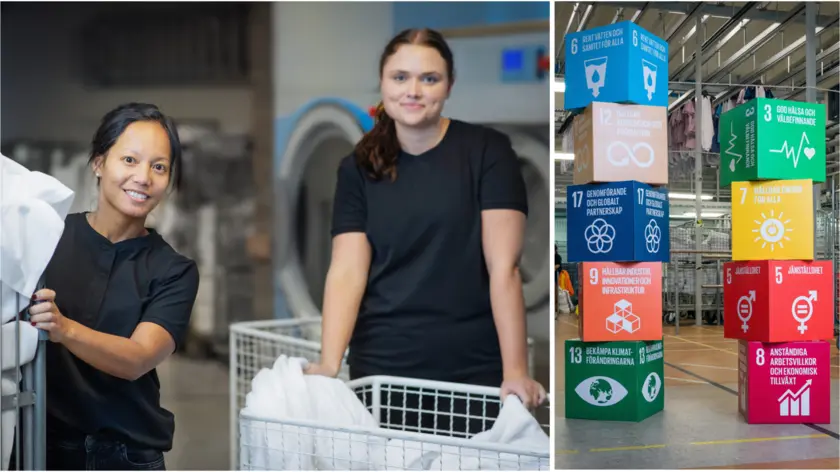 ISO 20 år