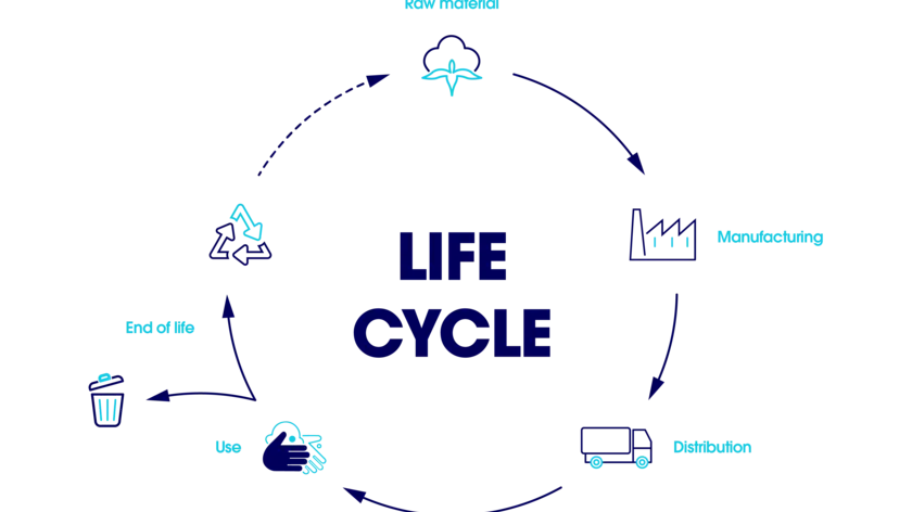 Life cycle