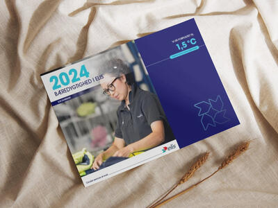Bæredygtighedsredegørelse 2024